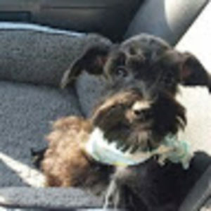 Meet your Posher, Kendalle